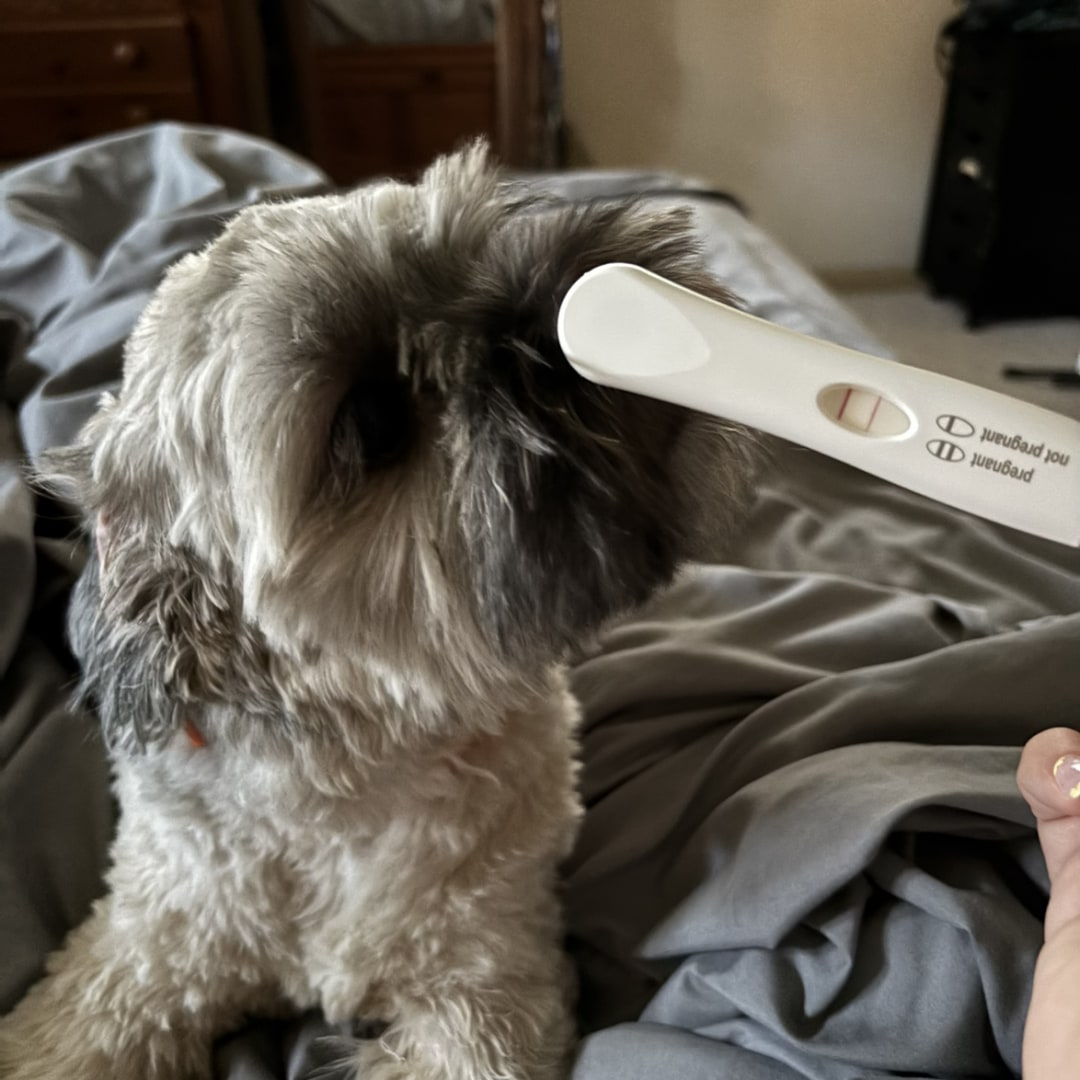 Photo shared by Kailyn for their Babylist baby registry.