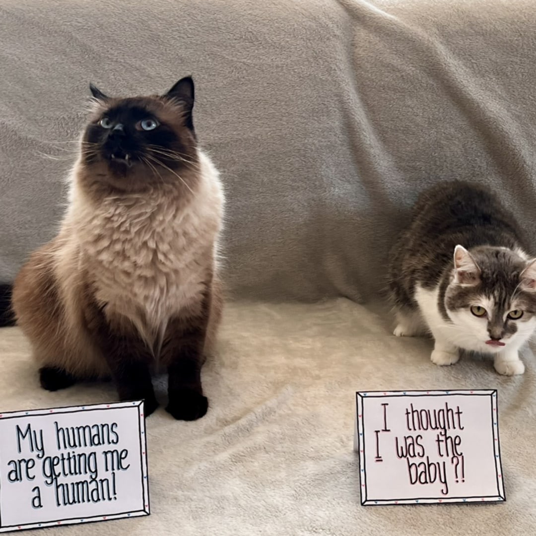 Photo shared by Audrey for their Babylist baby registry.