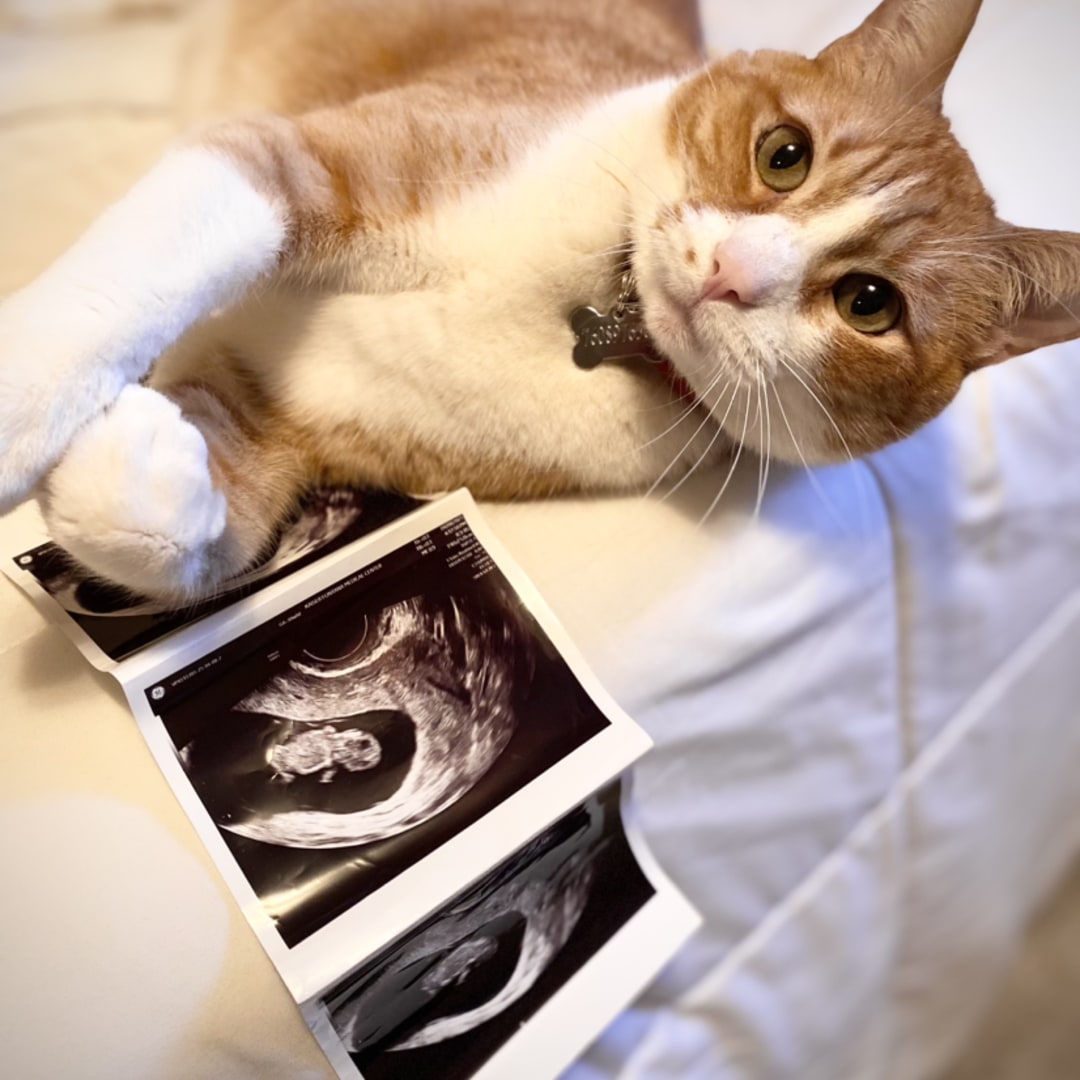 Photo shared by Kathryn for their Babylist baby registry.