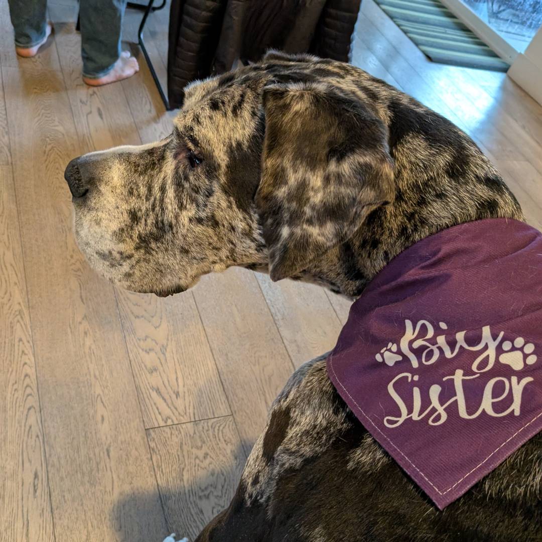 Photo shared by Katherine for their Babylist baby registry.