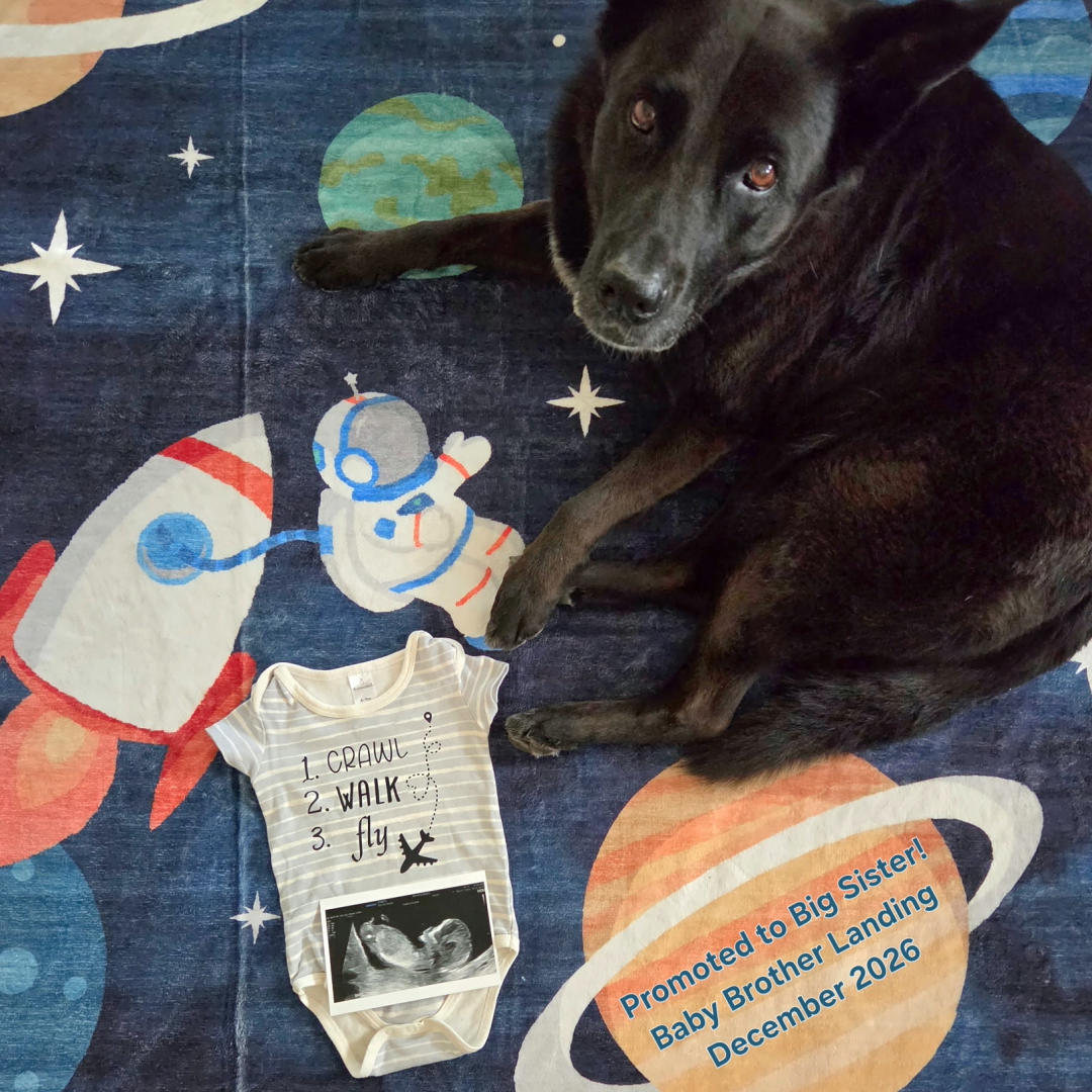Photo shared by Assaf & Megan for their Babylist baby registry.