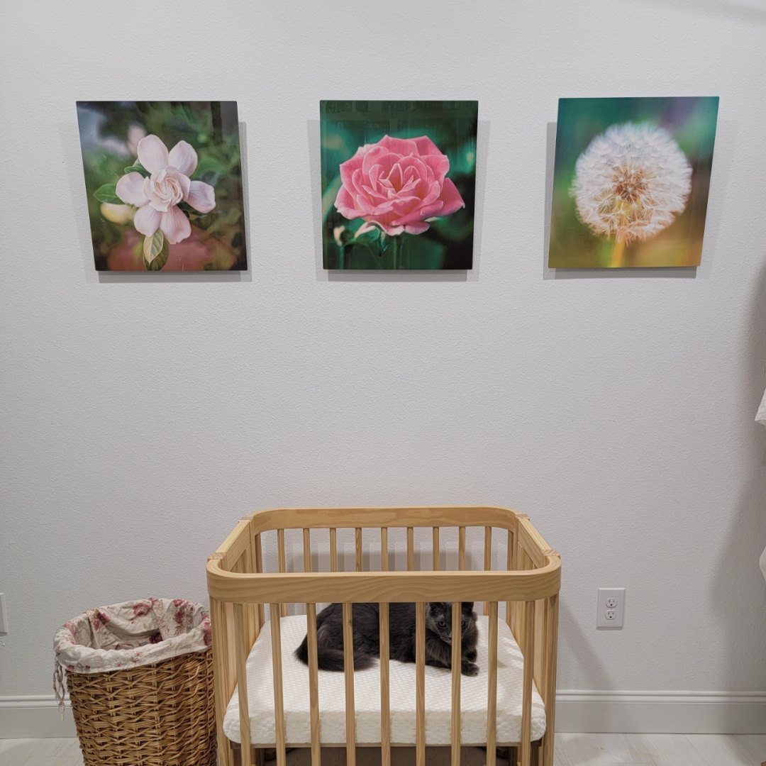 Photo shared by Heather for their Babylist baby registry.