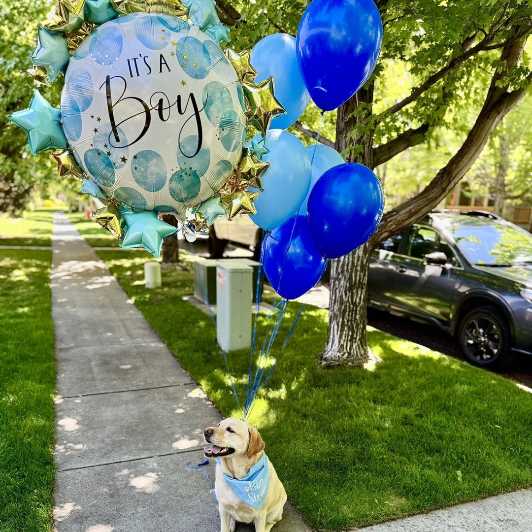 Photo shared by Lily for their Babylist baby registry.