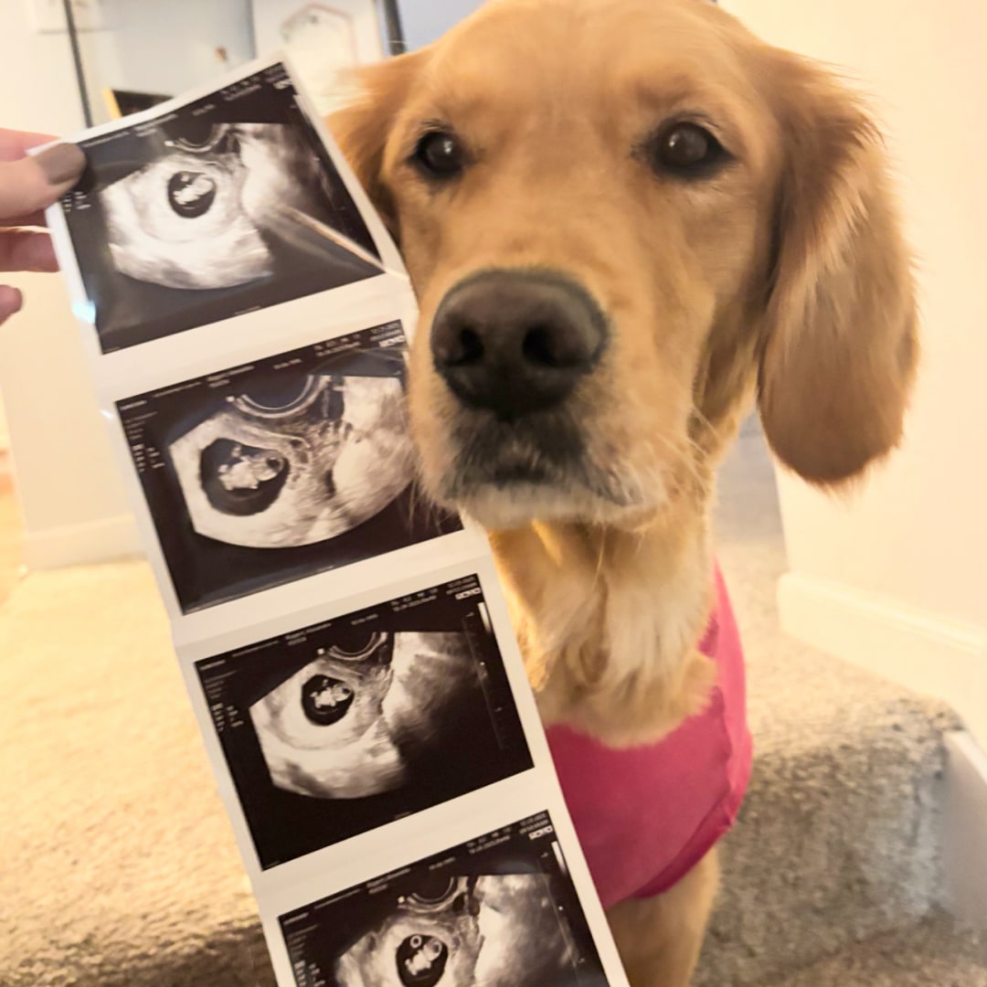 Photo shared by Lexi for their Babylist baby registry.