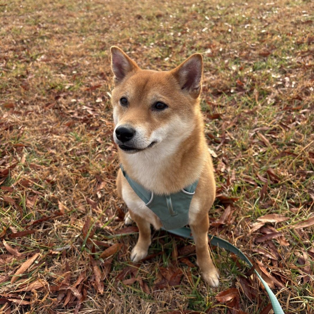 Photo shared by Jennifer for their Babylist baby registry.