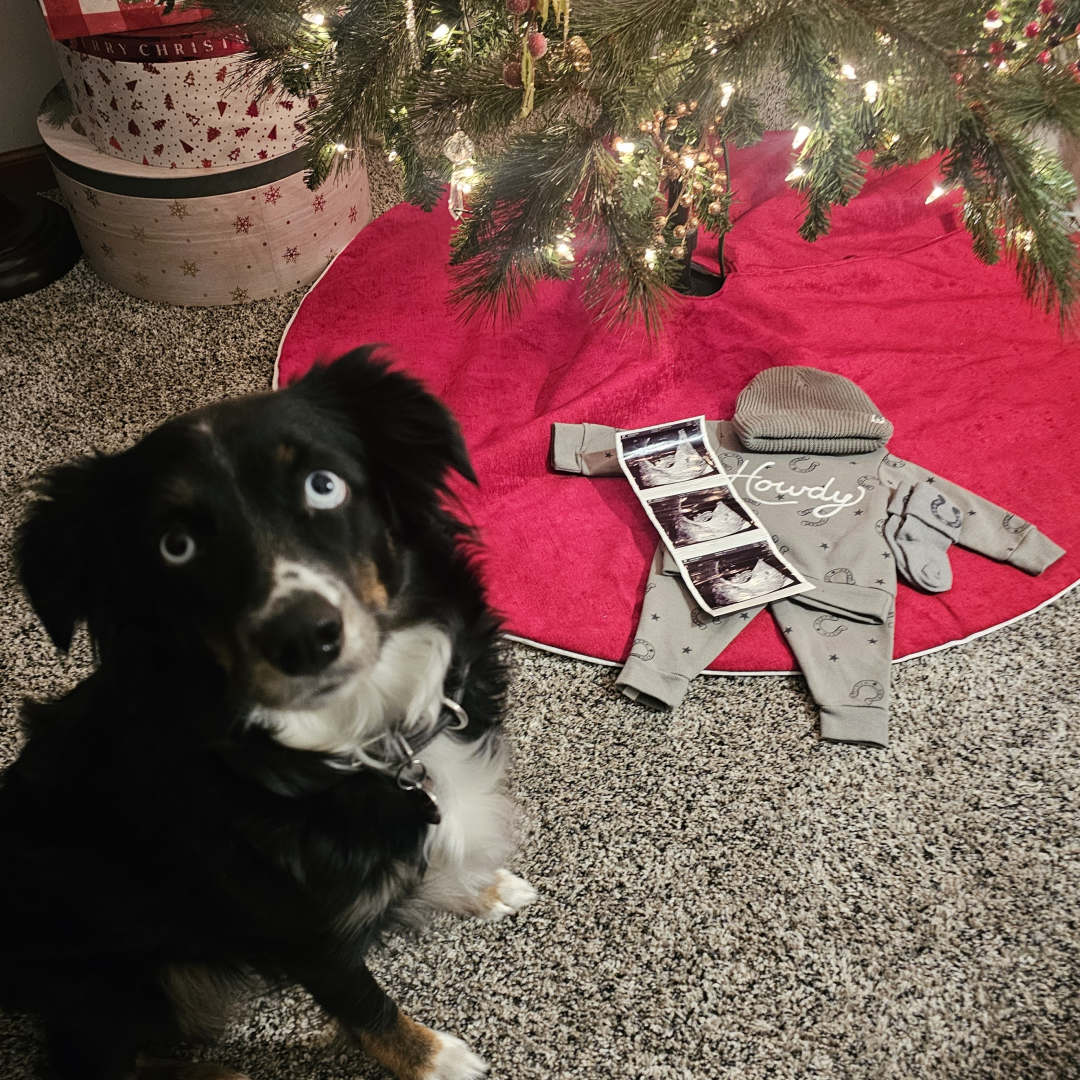 Photo shared by Katie for their Babylist baby registry.