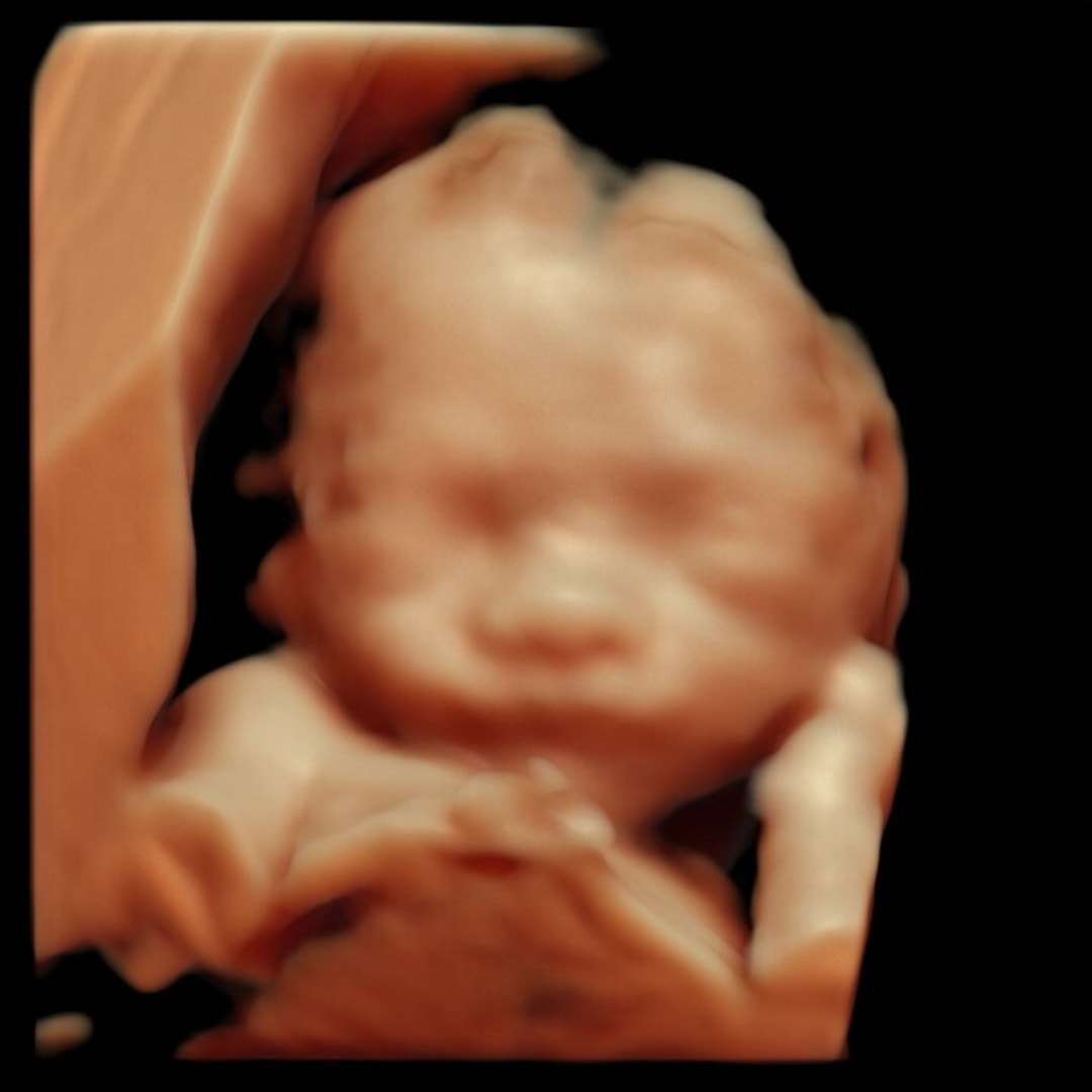 Photo shared by Alexa for their Babylist baby registry.