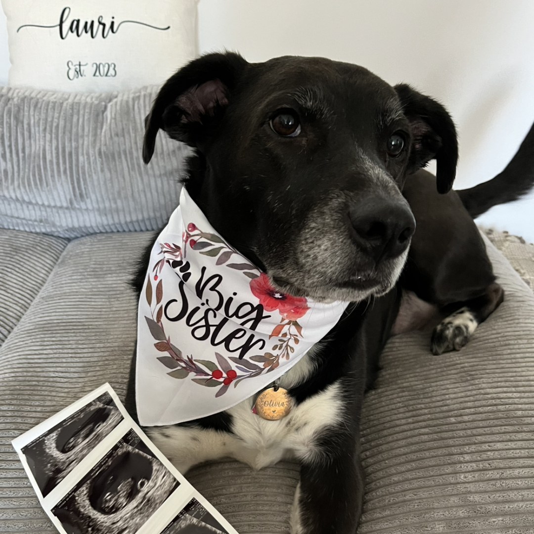 Photo shared by Chelsea for their Babylist baby registry.