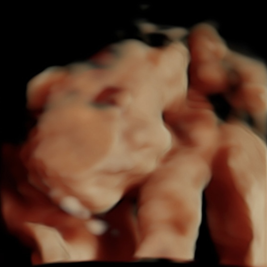 Photo shared by Emily for their Babylist baby registry.