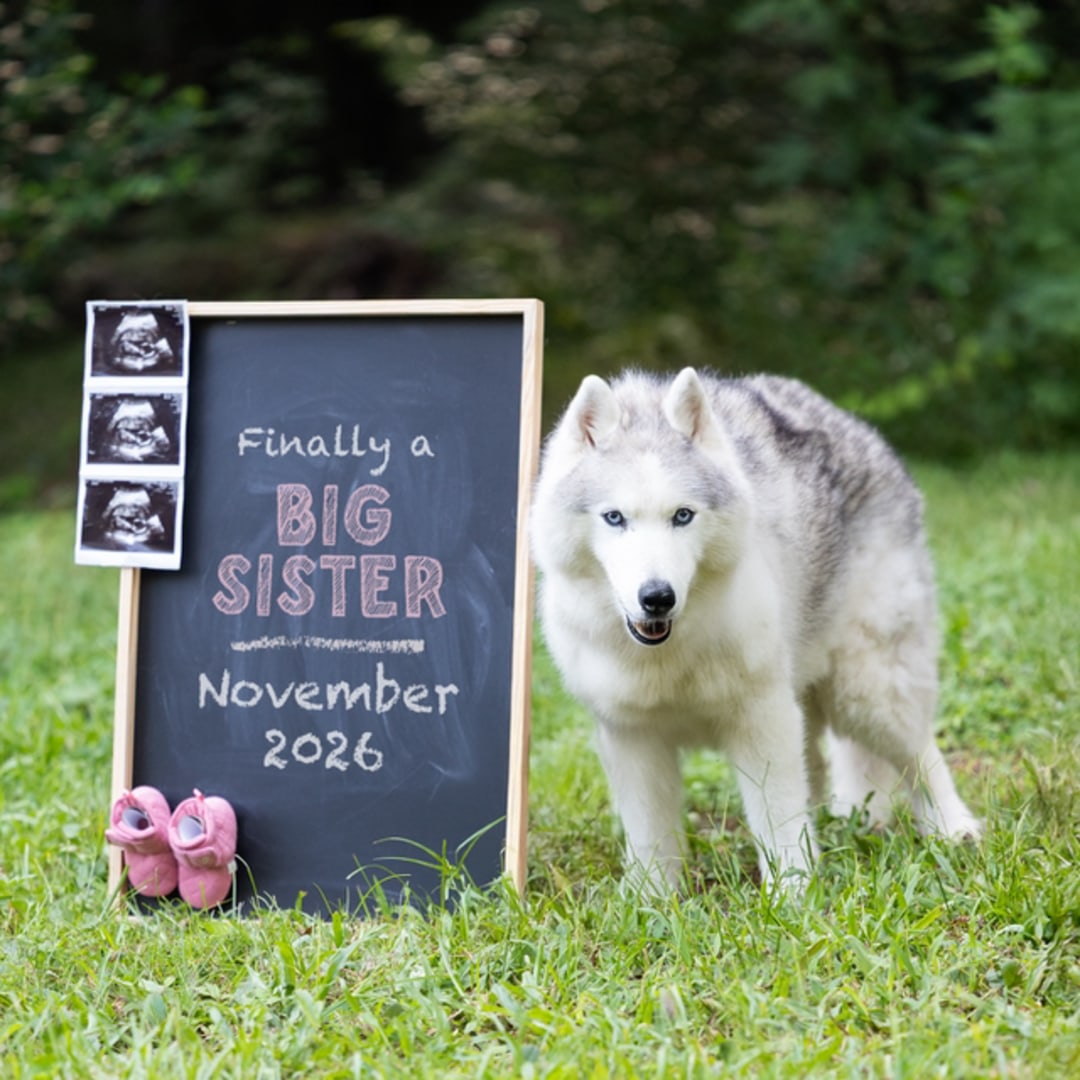 Photo shared by Jenna for their Babylist baby registry.