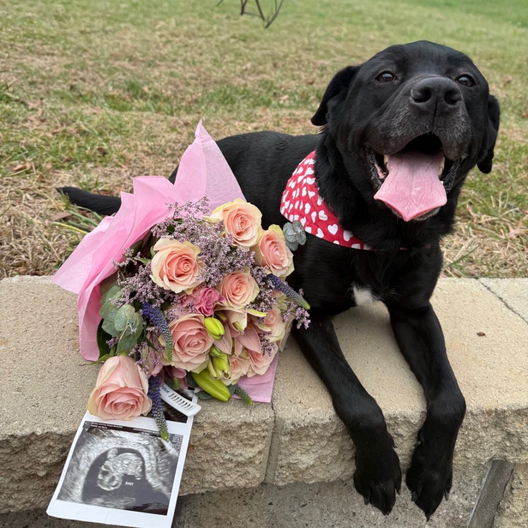 Photo shared by Courtney for their Babylist baby registry.