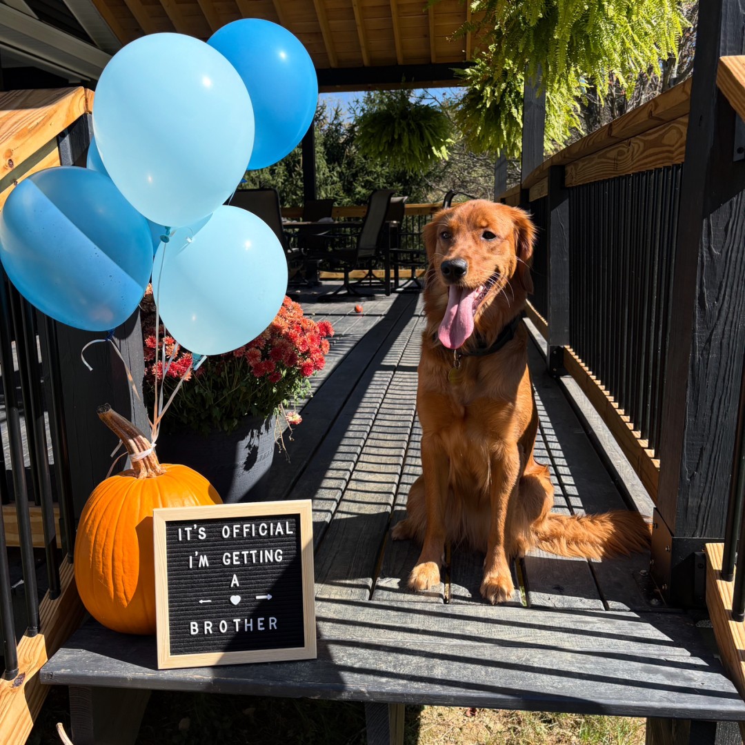 Photo shared by Kari for their Babylist baby registry.