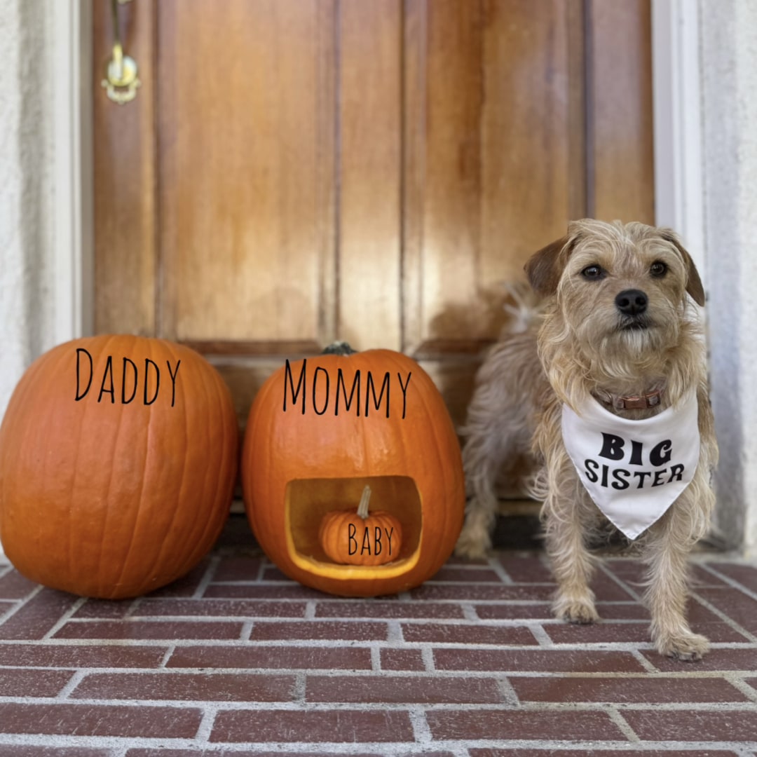 Photo shared by Cali for their Babylist baby registry.