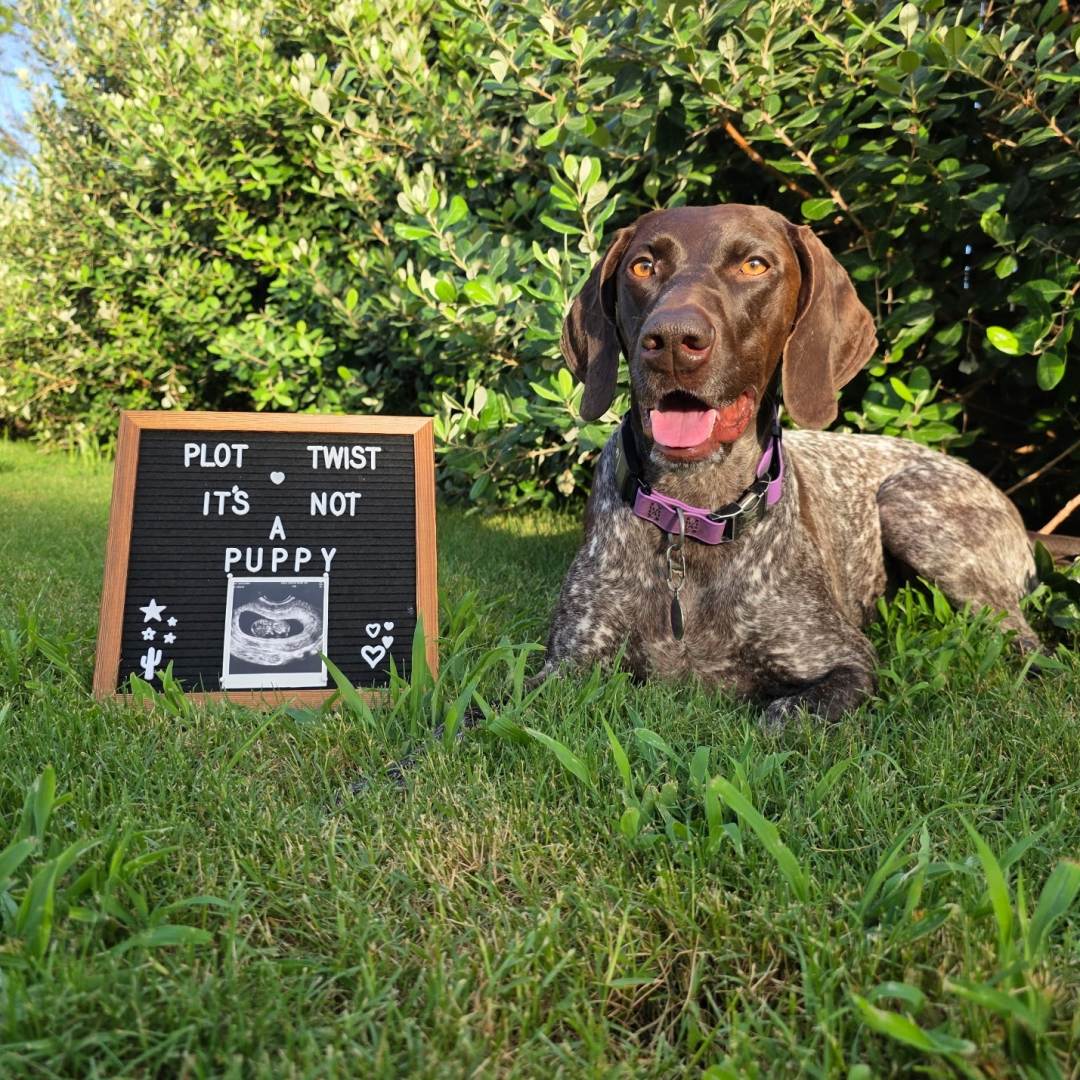 Photo shared by Liz for their Babylist baby registry.