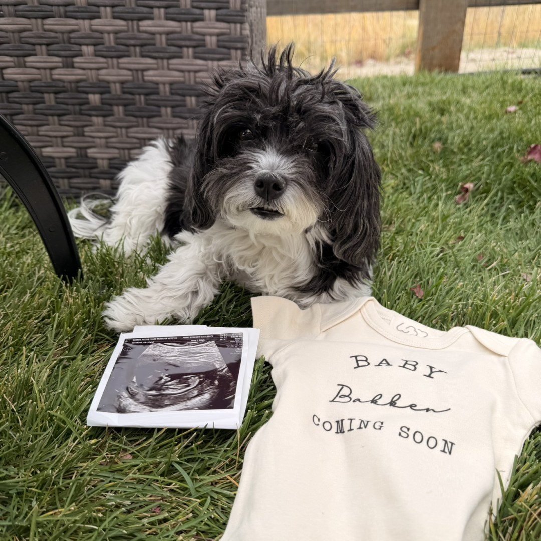 Photo shared by Alyssa for their Babylist baby registry.