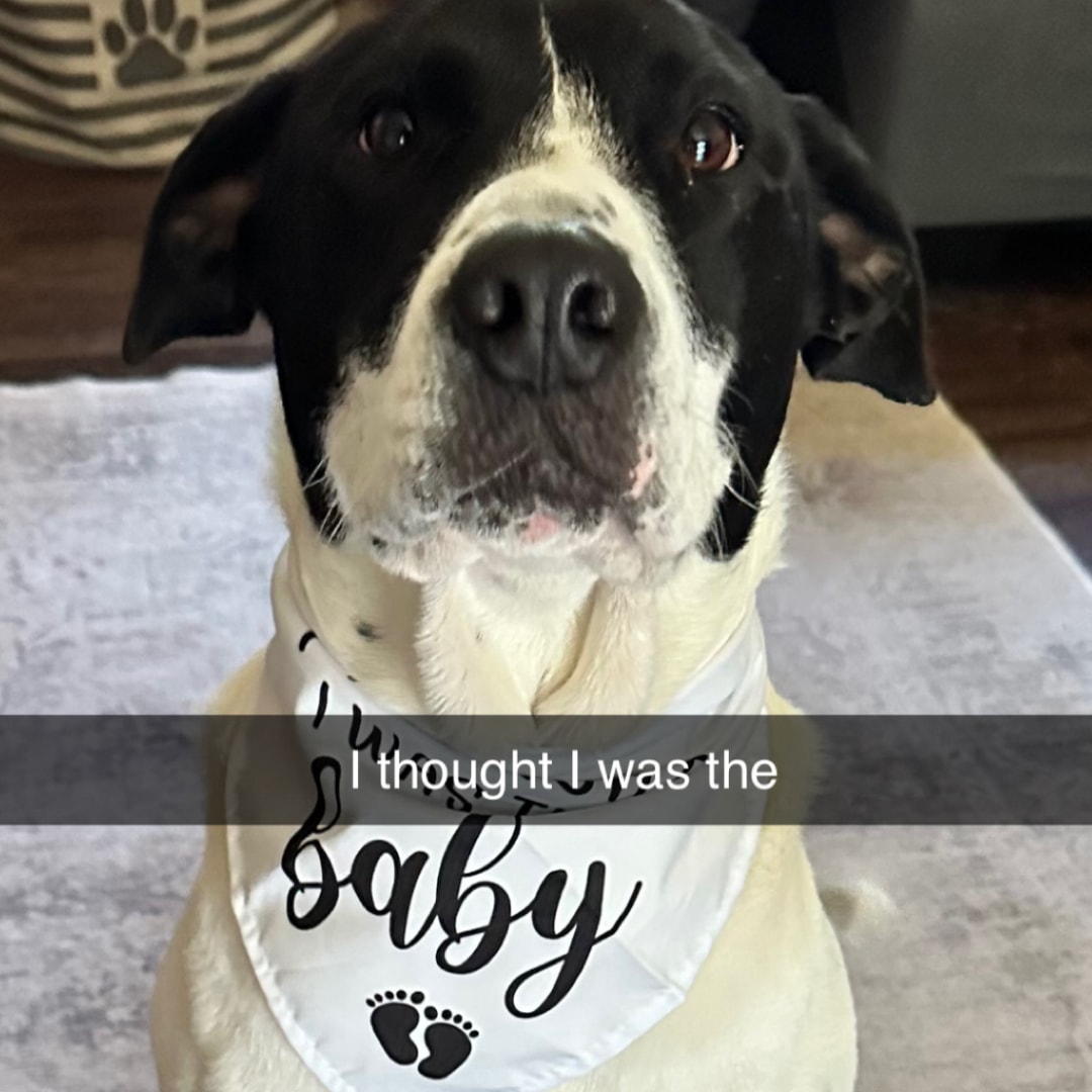 Photo shared by Kylee for their Babylist baby registry.