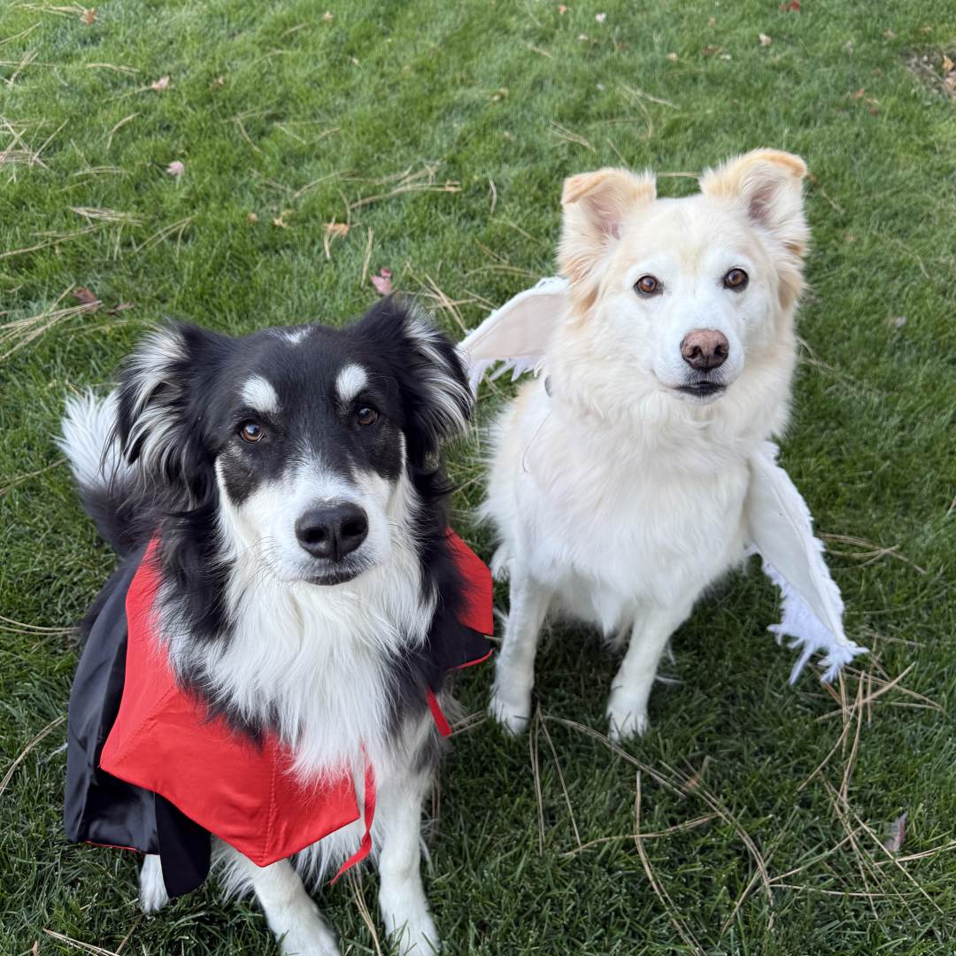 Photo shared by Kathleen for their Babylist baby registry.