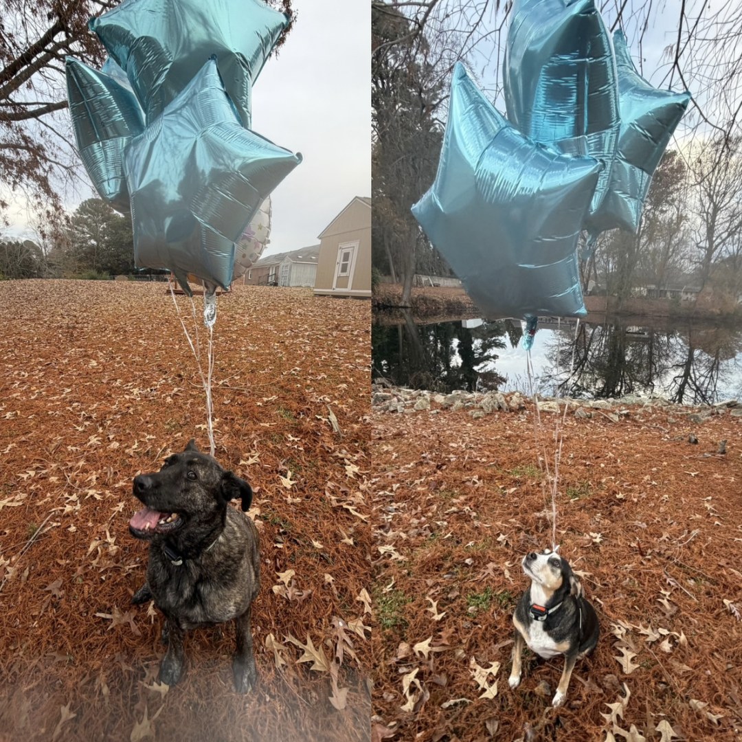 Photo shared by Emma for their Babylist baby registry.