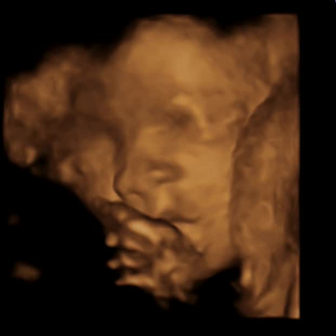 Photo shared by Kayla for their Babylist baby registry.