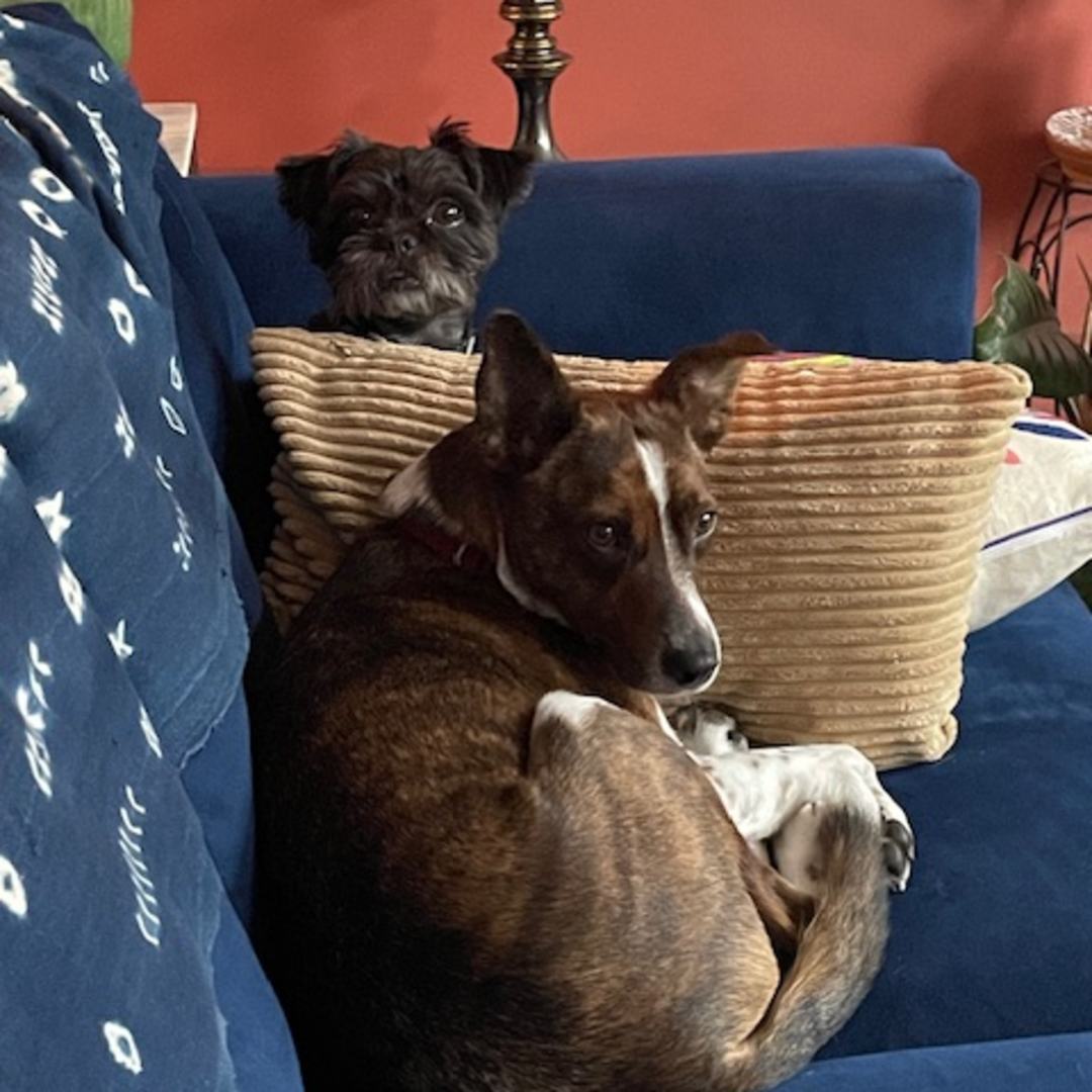 Photo shared by Melissa for their Babylist baby registry.