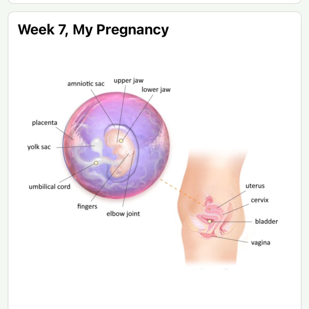 Photo shared by Anamrie for their Babylist baby registry.