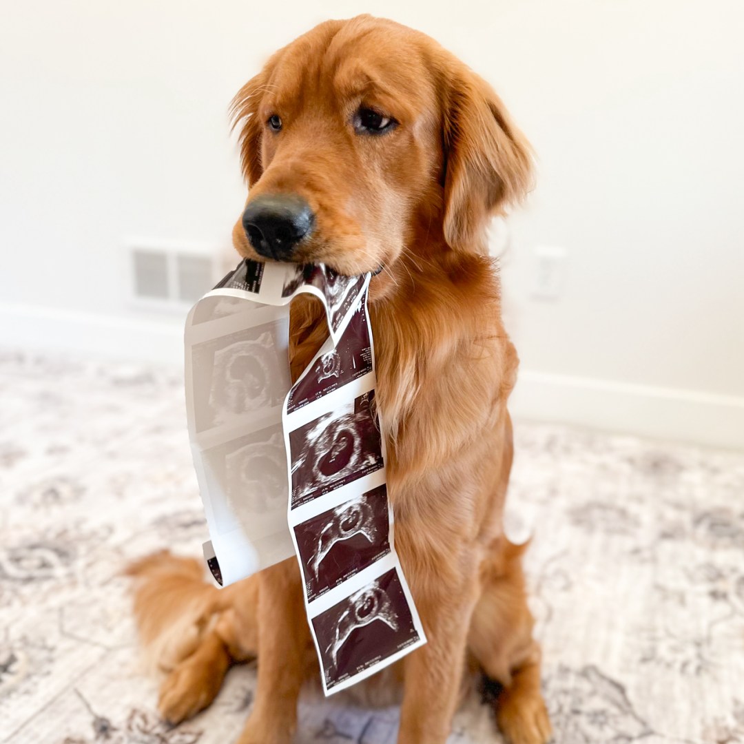 Photo shared by Jessica for their Babylist baby registry.