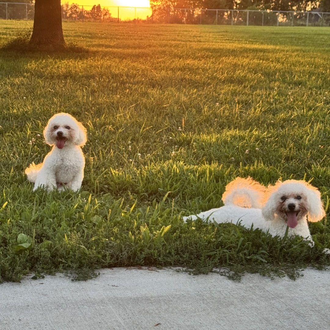 Photo shared by Toni for their Babylist baby registry.