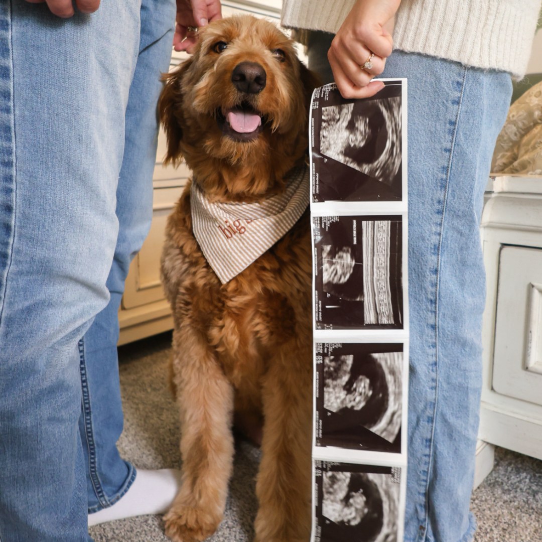 Photo shared by Reagan for their Babylist baby registry.