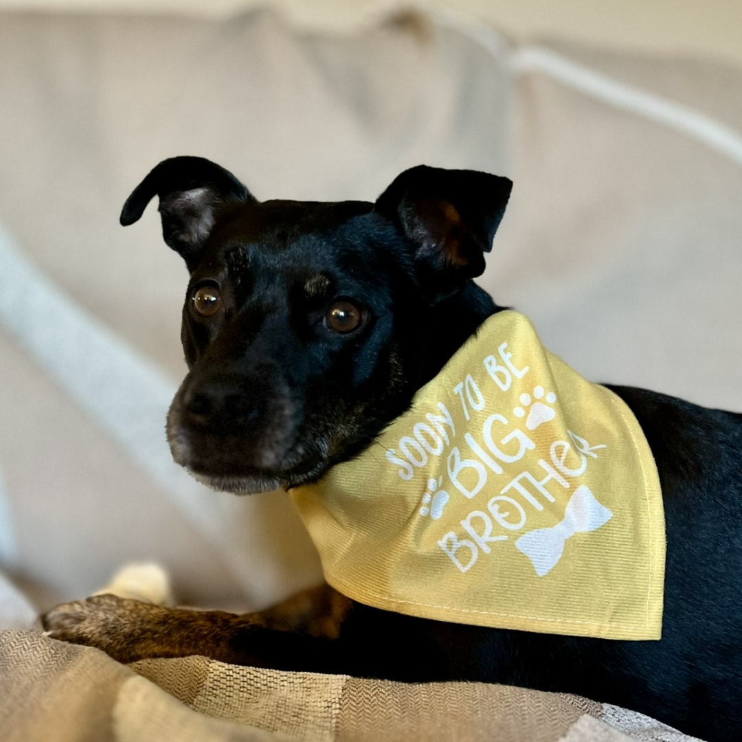 Photo shared by Emily for their Babylist baby registry.