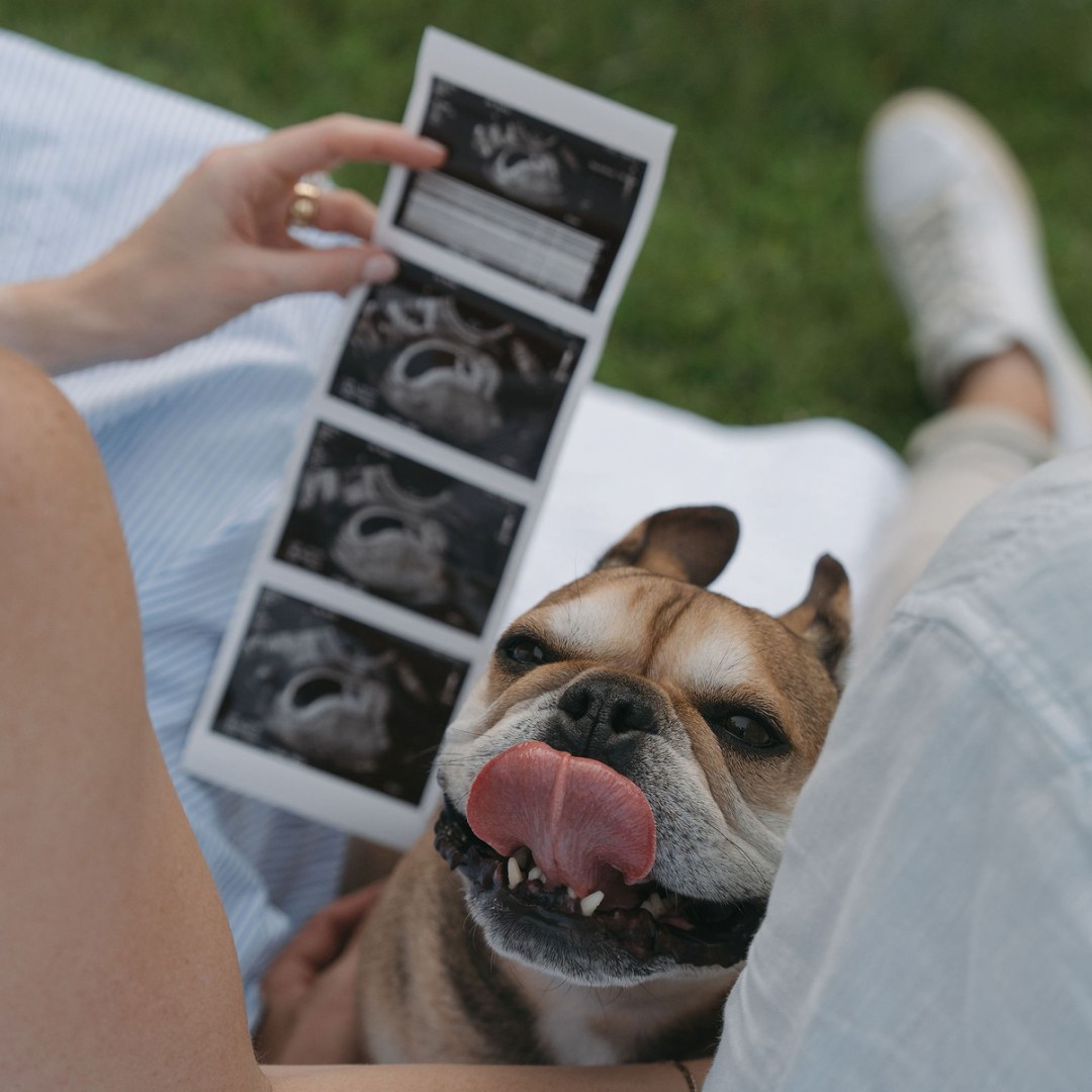 Photo shared by Megan for their Babylist baby registry.