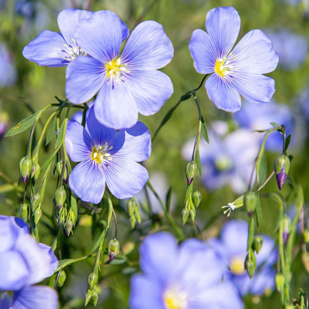 Photo shared by Samantha for their Babylist baby registry.