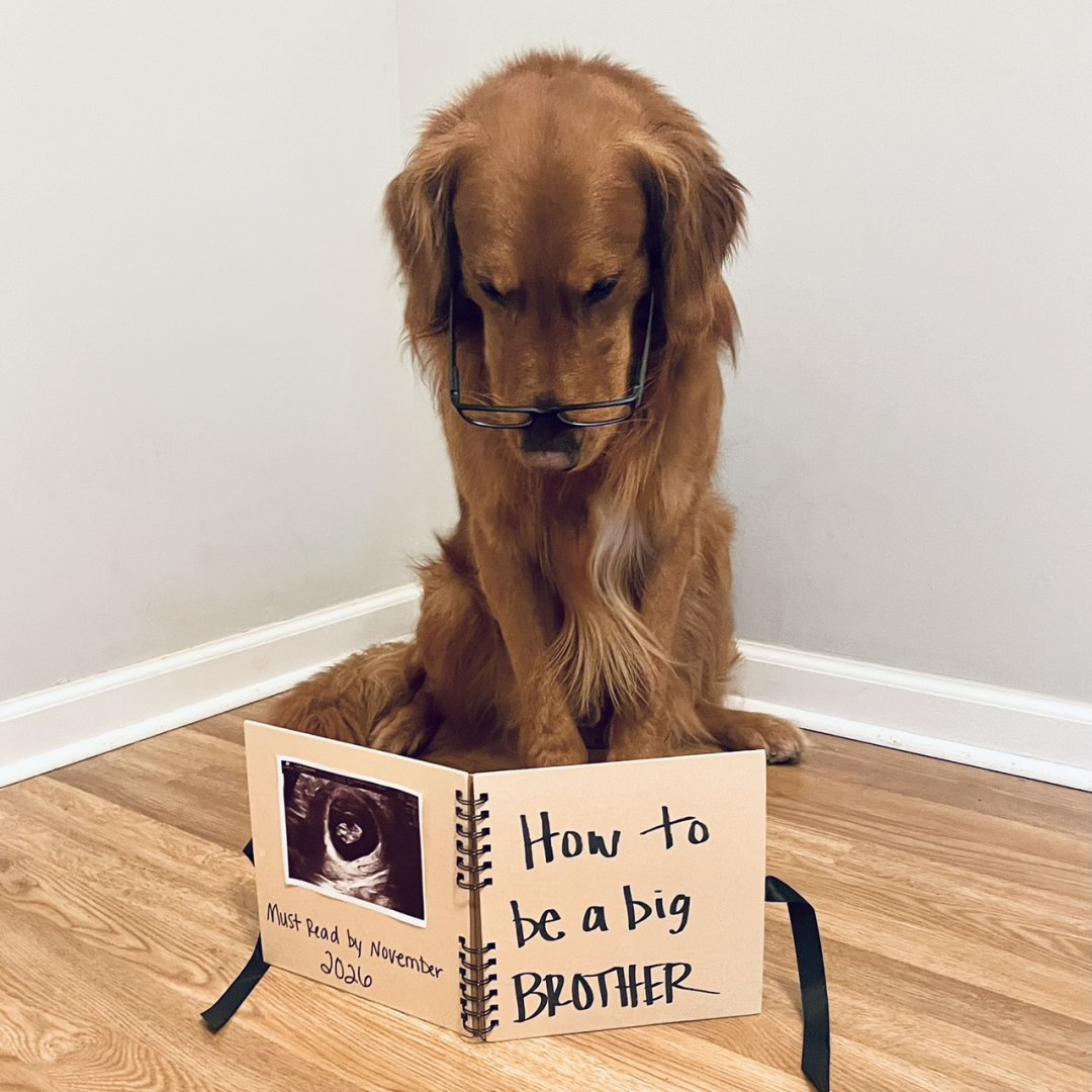 Photo shared by Alexus for their Babylist baby registry.