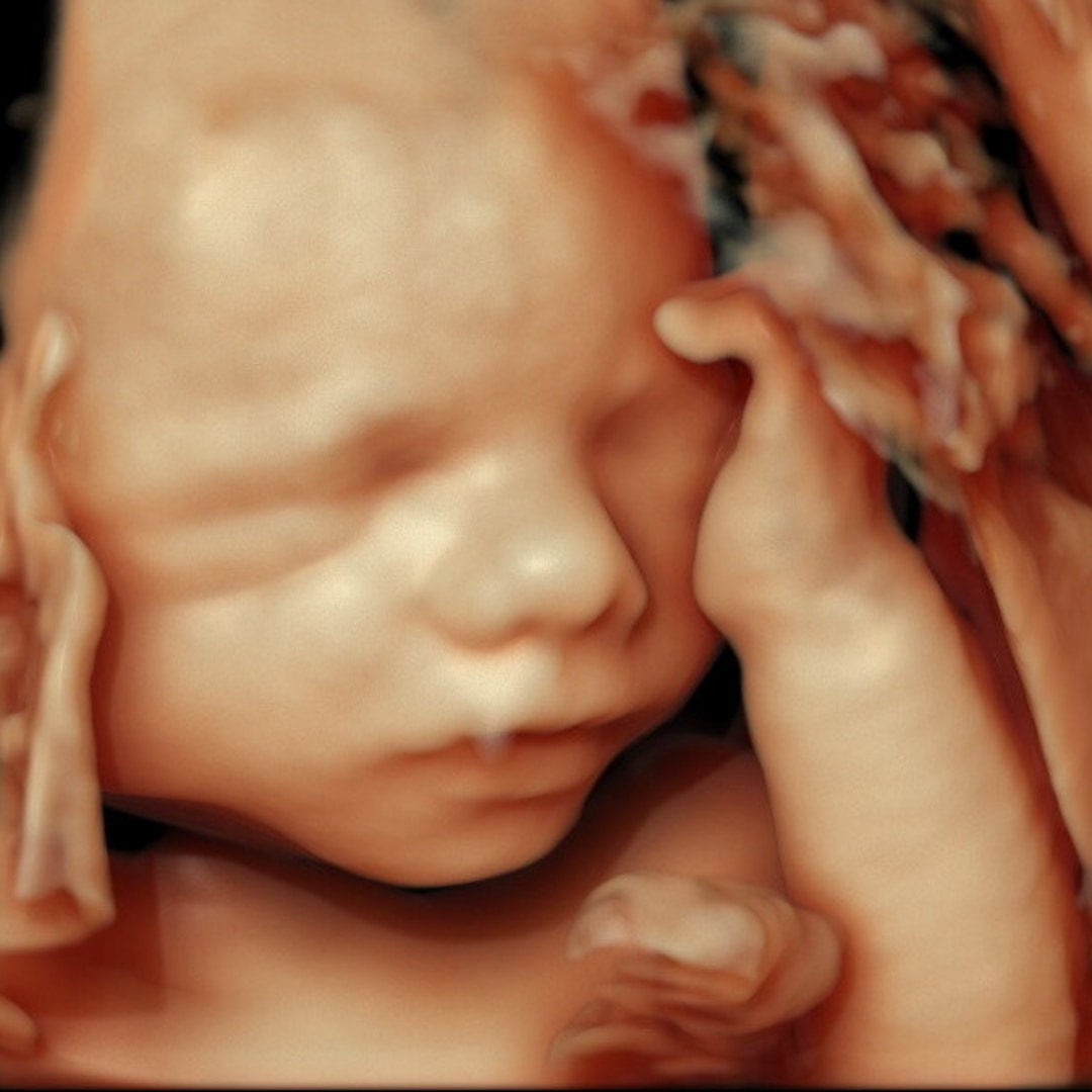 Photo shared by Katie for their Babylist baby registry.