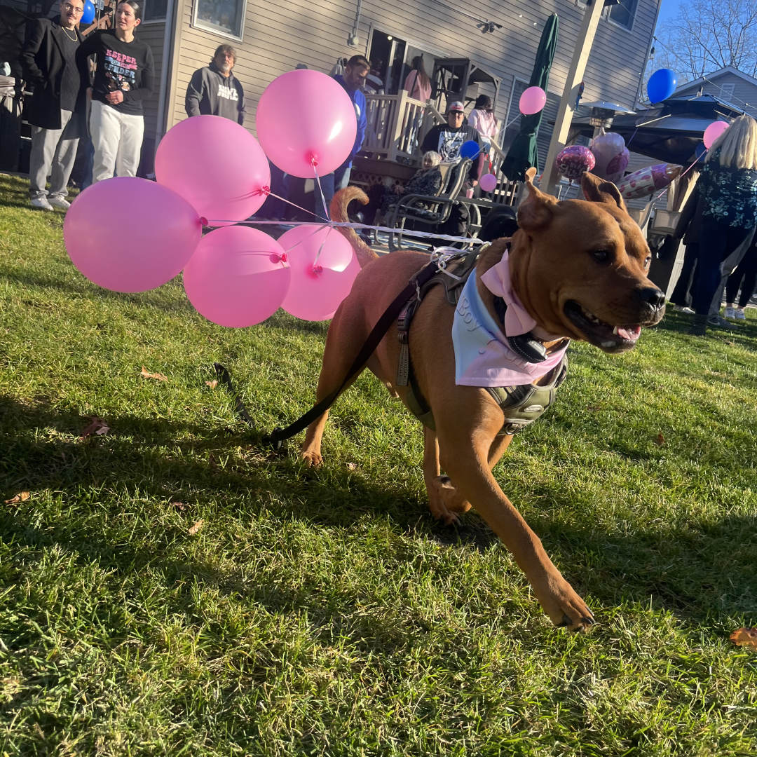 Photo shared by Karli for their Babylist baby registry.