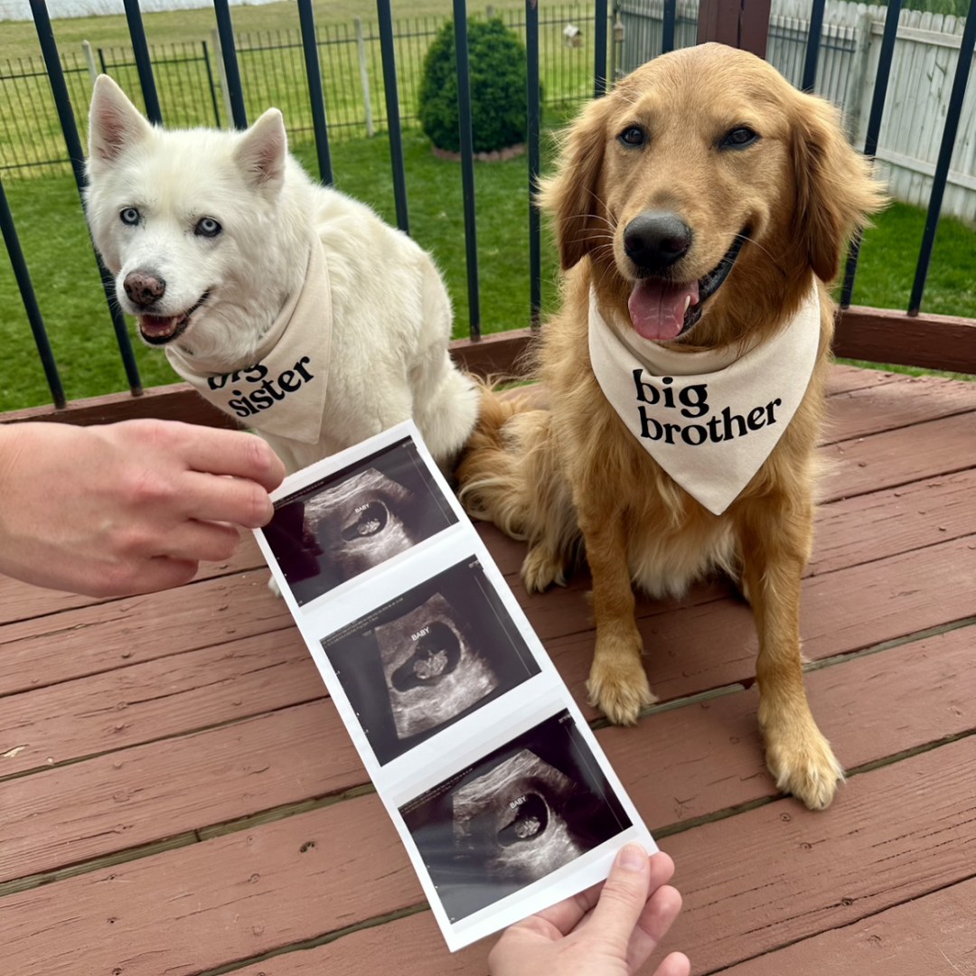 Photo shared by Amy for their Babylist baby registry.