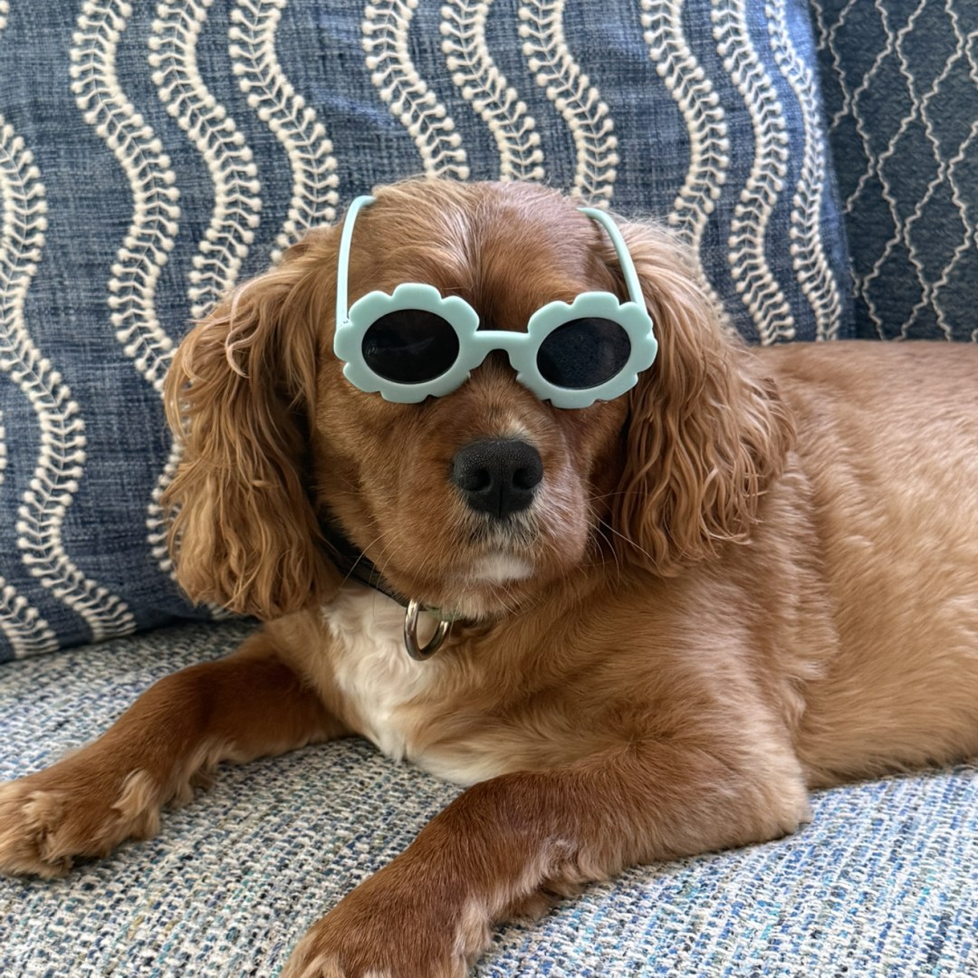 Photo shared by Elizabeth for their Babylist baby registry.