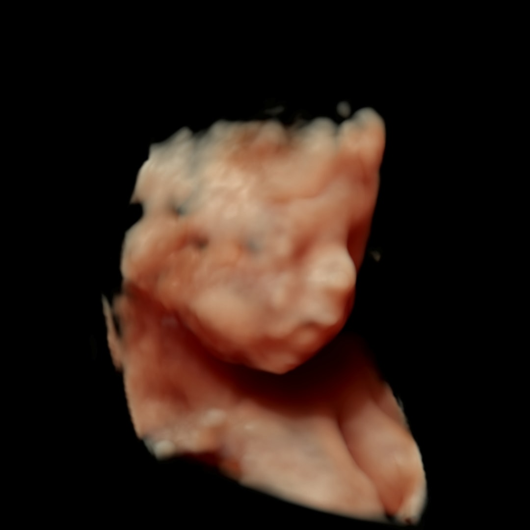 Photo shared by Devine for their Babylist baby registry.