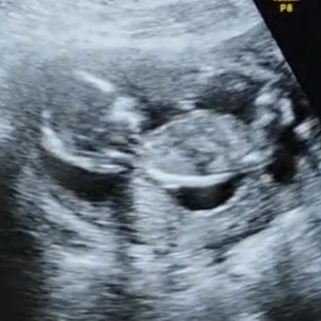 Photo shared by Jeremiah for their Babylist baby registry.