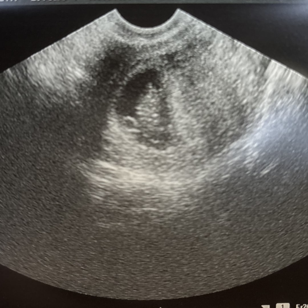 Photo shared by Lizbeth for their Babylist baby registry.