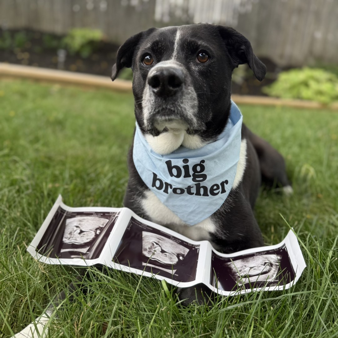 Photo shared by Amanda for their Babylist baby registry.