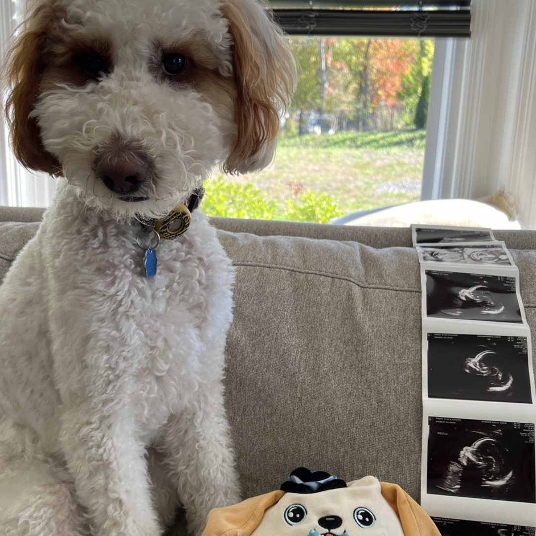 Photo shared by Alexa for their Babylist baby registry.