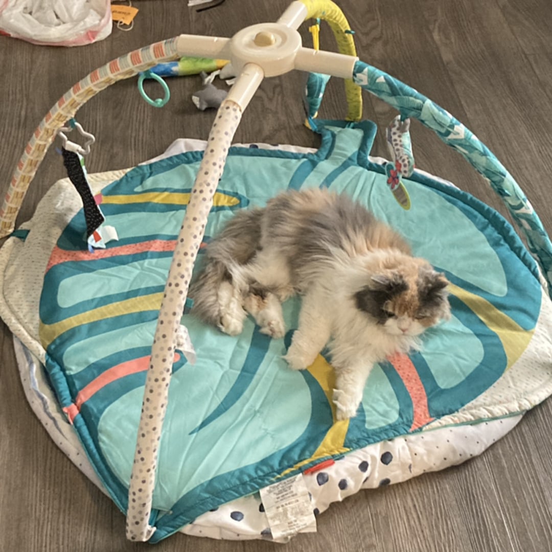 Photo shared by Christie for their Babylist baby registry.