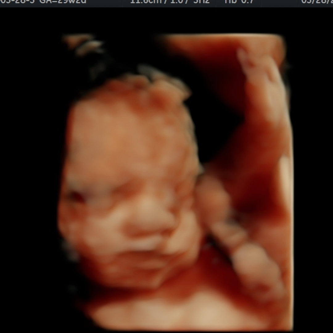 Photo shared by Ashley for their Babylist baby registry.