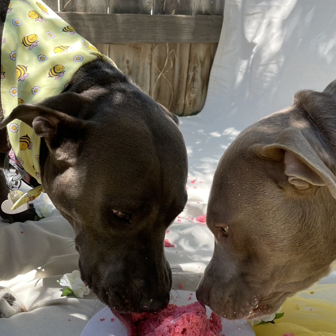 Photo shared by Maria for their Babylist baby registry.