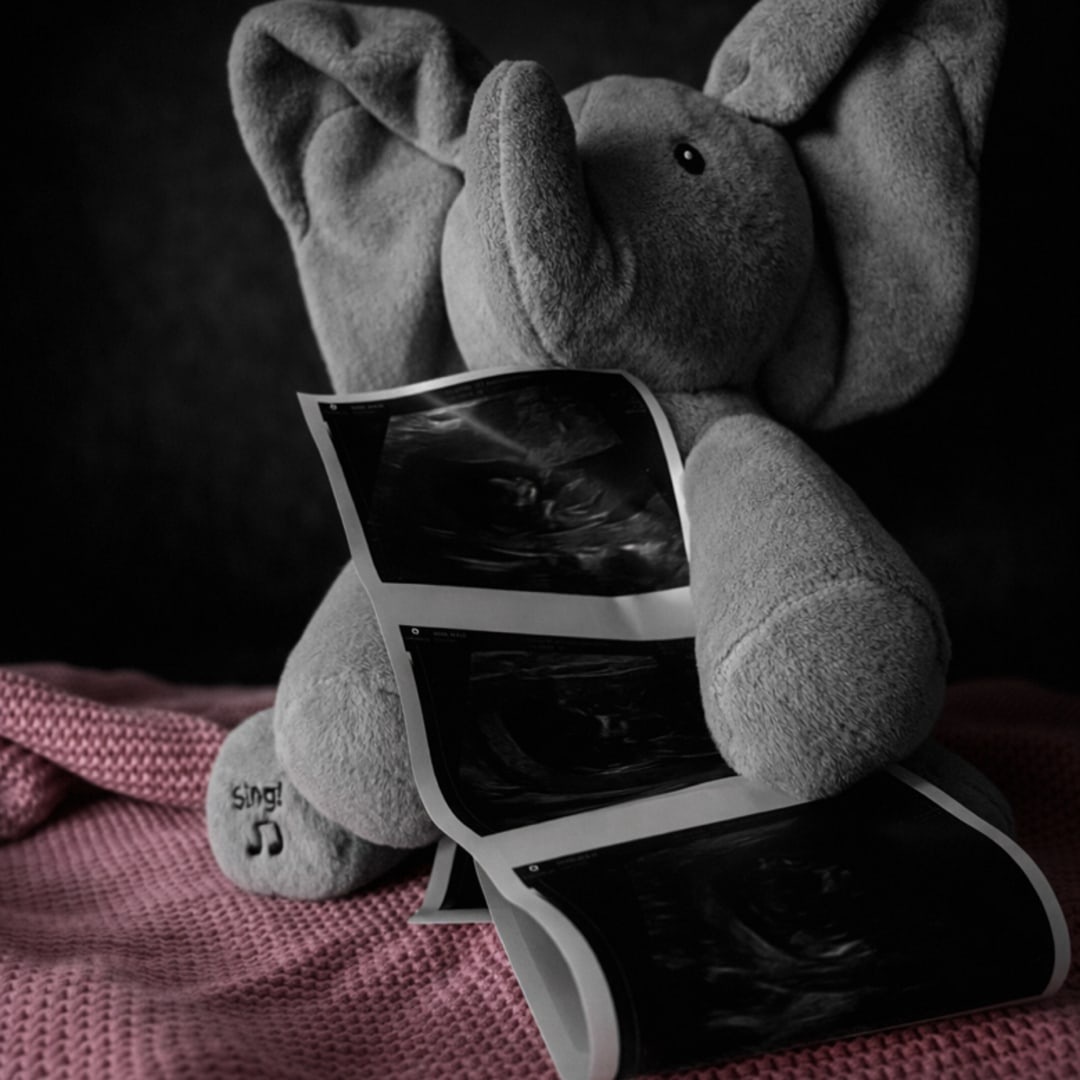 Photo shared by Alicia for their Babylist baby registry.