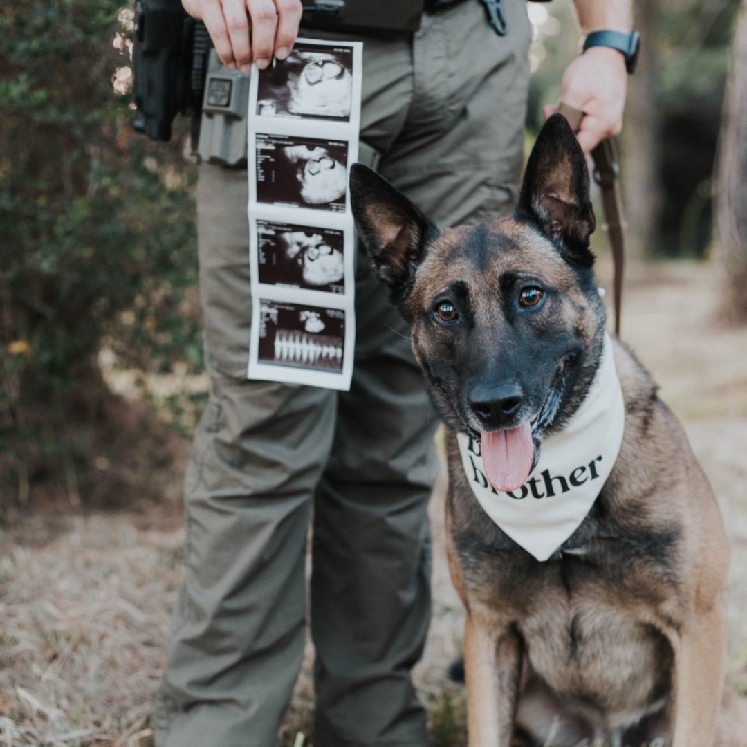 Photo shared by Kaylee for their Babylist baby registry.