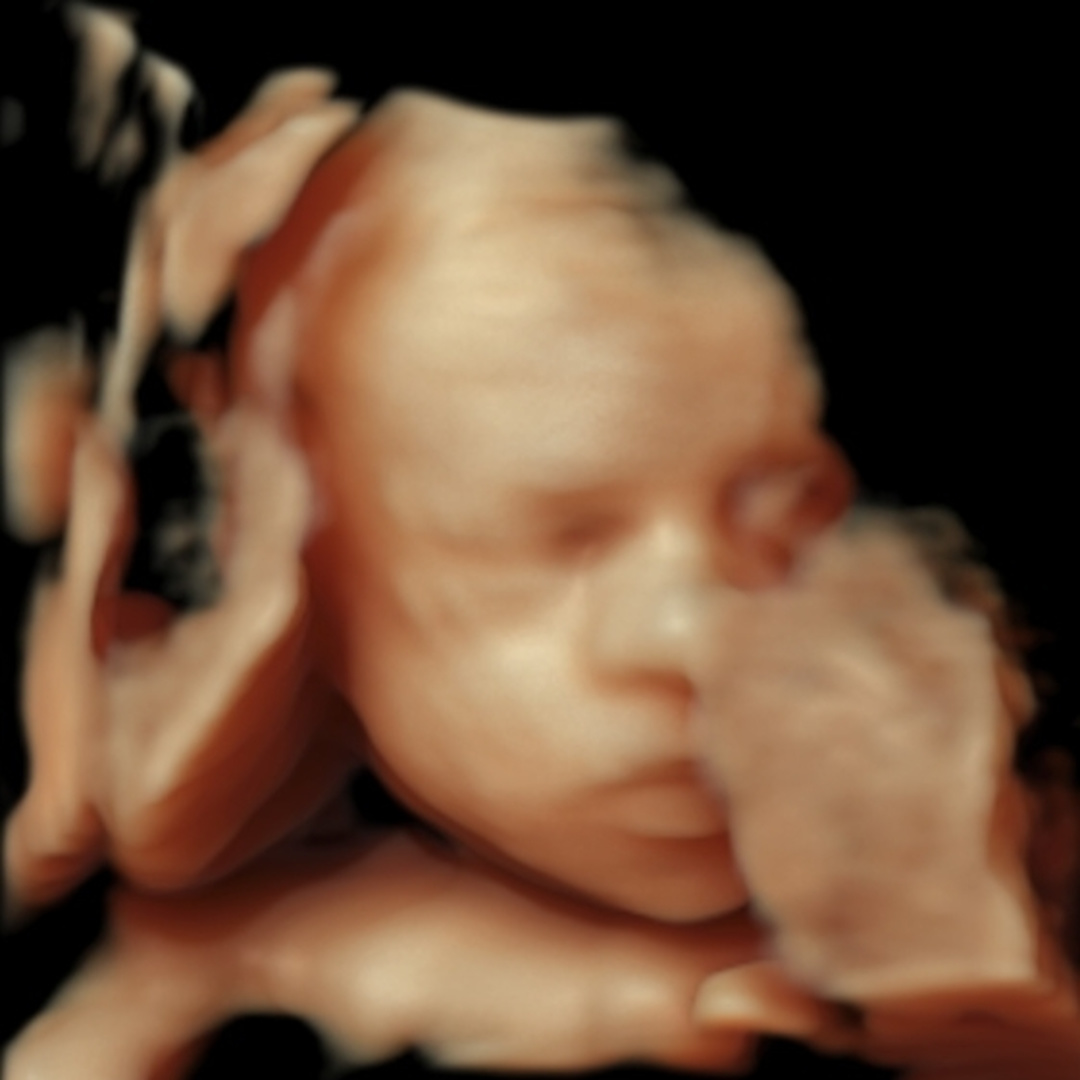 Photo shared by Alexandra for their Babylist baby registry.