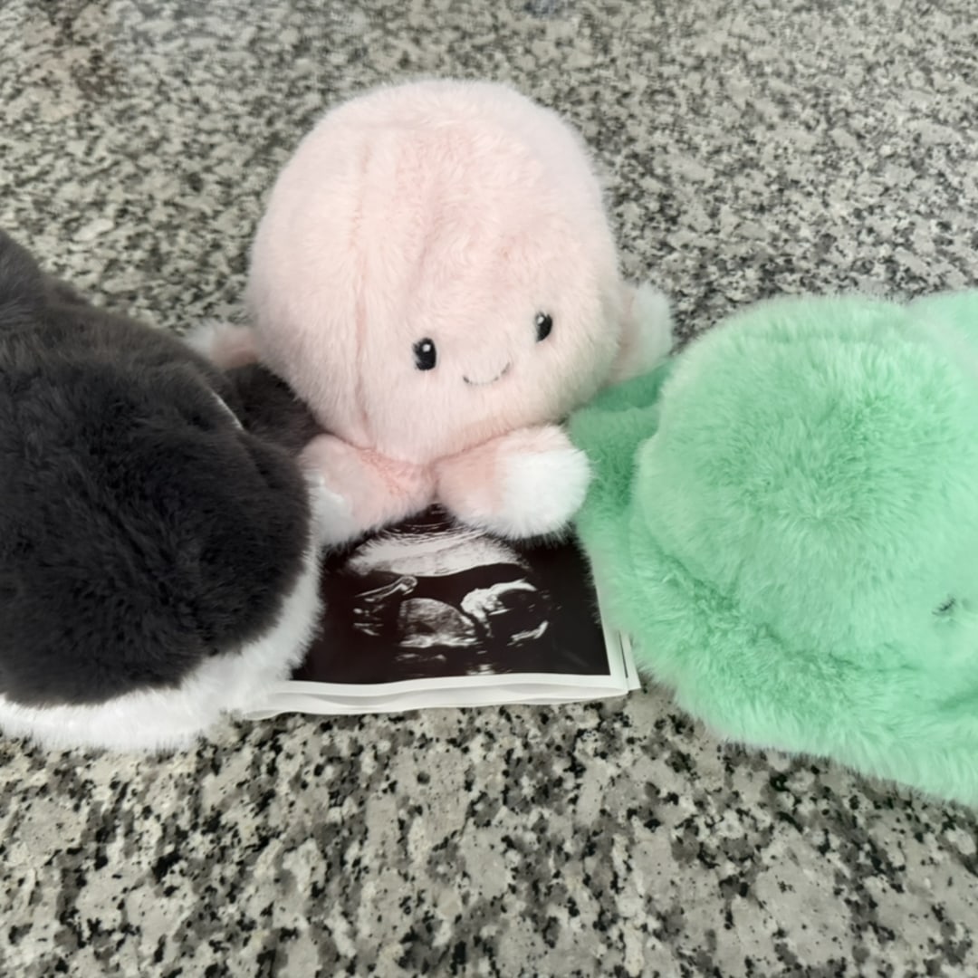 Photo shared by Sarah for their Babylist baby registry.