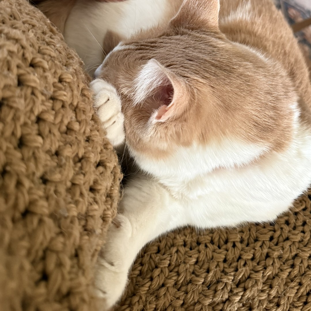 Photo shared by Karen for their Babylist baby registry.