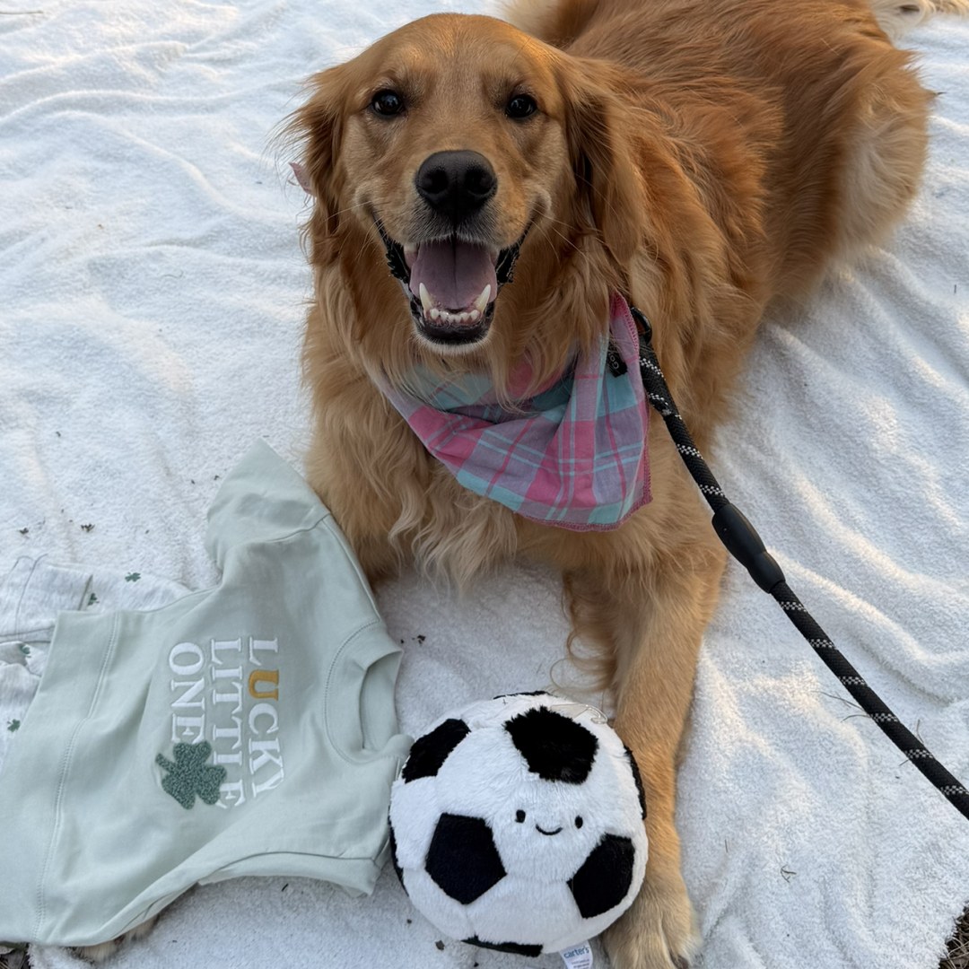 Photo shared by Corinthia for their Babylist baby registry.